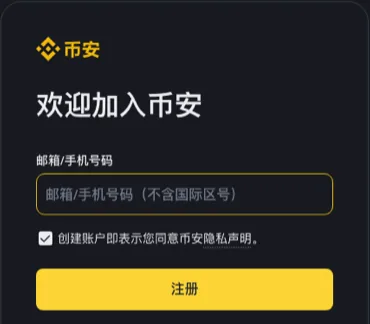 币安网页注册卡片，输入框提示「邮箱/手机号码（不含国际区号）」，下方有隐私声明勾选框和黄色注册按钮